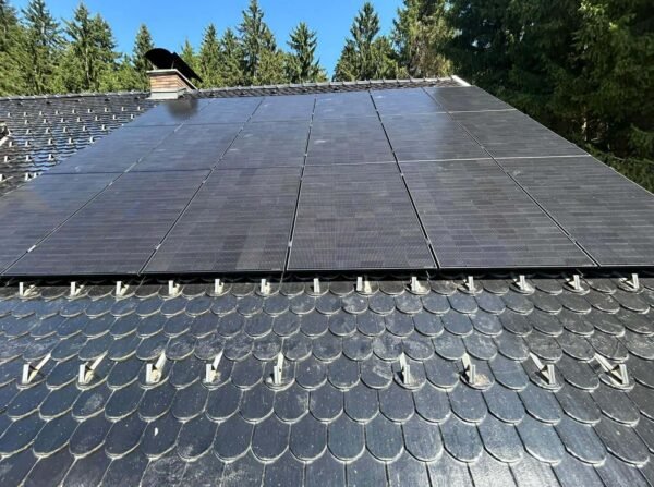 a9a4d1ef-4e8b-41b2-96df-0dd6d13d8515 (1)